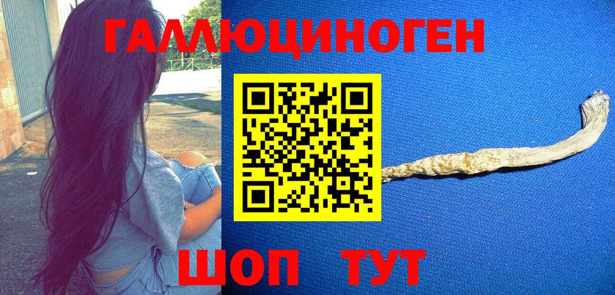 Галлюциногенные грибы прущие грибы Коммунар