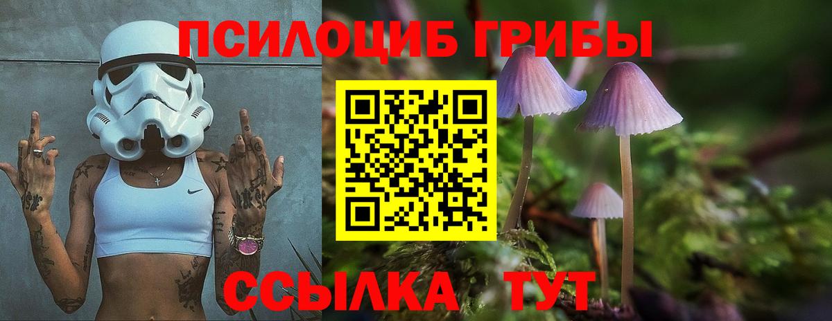 Галлюциногенные грибы мухоморы  Галлюциногенные грибы Cubensis  Вход с VPN  Коммунар 